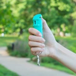 Flip Top Pepper Gel with Snap Clip, Mint Green by SABRE -Porter-Cable Sales Shop sabre home safety accessories f15 rainn g fa 1000